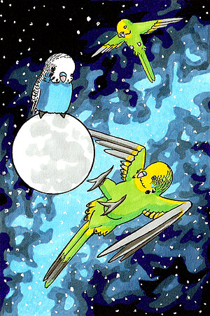 A Brief History of Birds - Migration