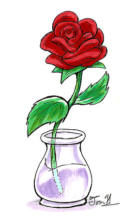 Mother's Day Rose