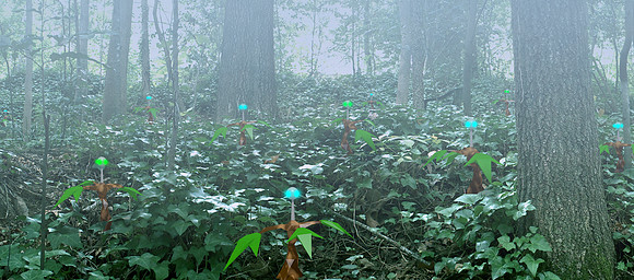 Lurkers in the Ivy